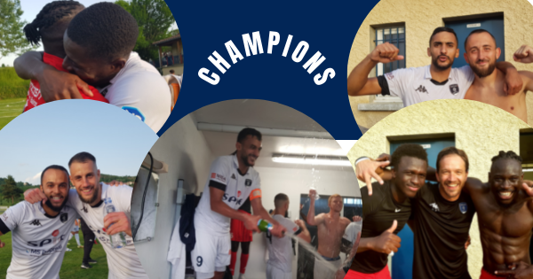 Thonon Evian Grand Genève Football Club - 
