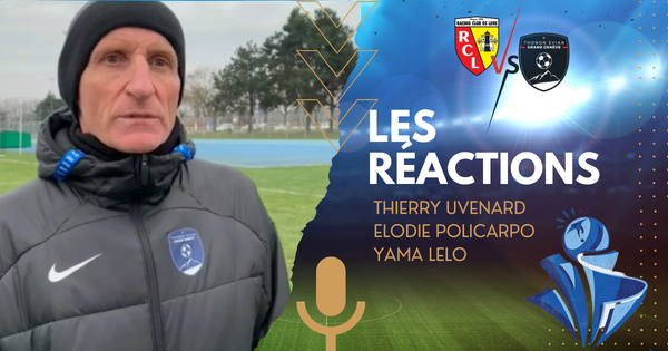Thonon Evian Grand Genève Football Club -