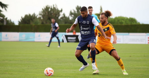 Thonon Evian Grand Genève Football Club -