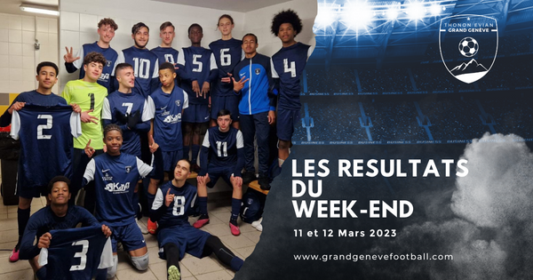 Thonon Evian Grand Genève Football Club -