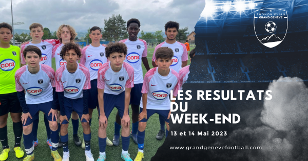 Thonon Evian Grand Genève Football Club -