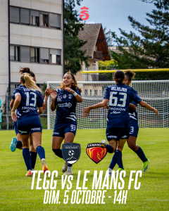 Thonon Evian Grand Genève Football Club - Plan de travail 3