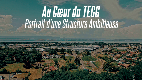 Thonon Evian Grand Genève Football Club - 