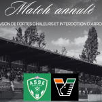 Thonon Evian Grand Genève Football Club - 