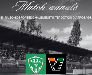 Thonon Evian Grand Genève Football Club - 
