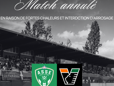 Thonon Evian Grand Genève Football Club - 