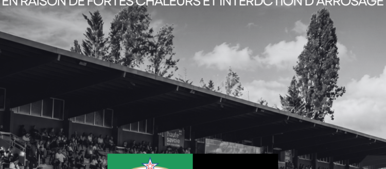 Thonon Evian Grand Genève Football Club -