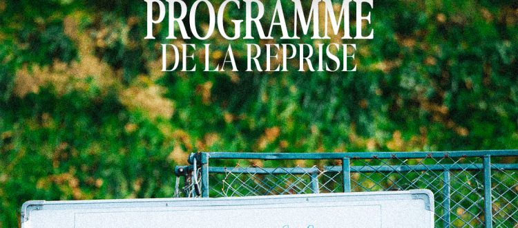 Thonon Evian Grand Genève Football Club - 