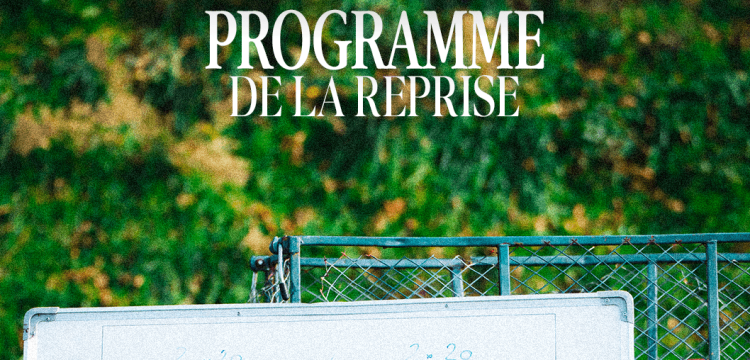 Thonon Evian Grand Genève Football Club - 