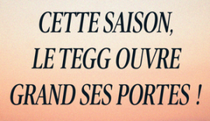 Thonon Evian Grand Genève Football Club - 