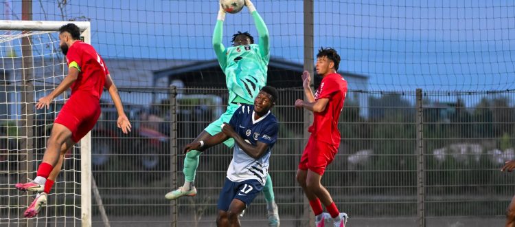 Thonon Evian Grand Genève Football Club - 
