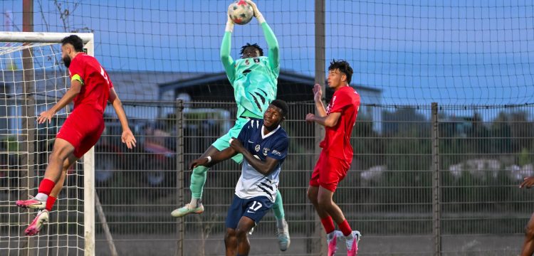 Thonon Evian Grand Genève Football Club - 