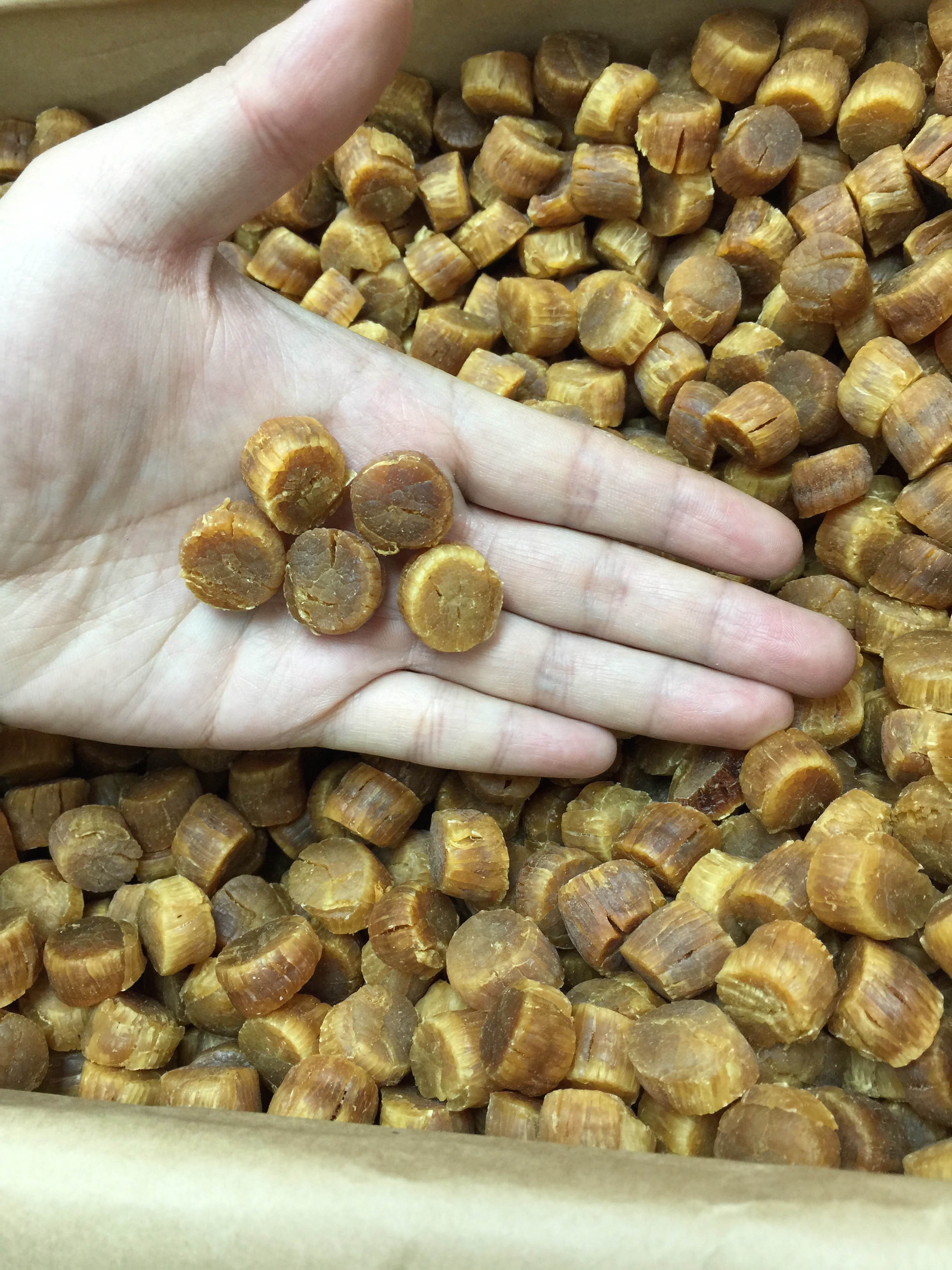 Dried Japanese Scallops (Medium) Grand Gift