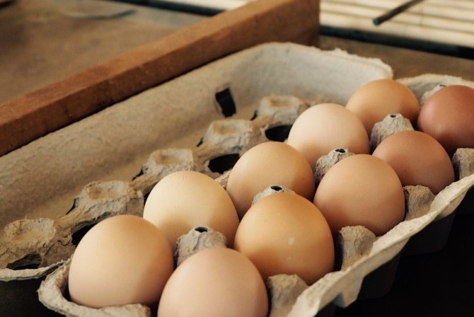 Eggs