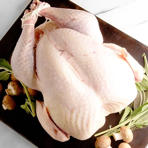 Thanksgiving Turkey