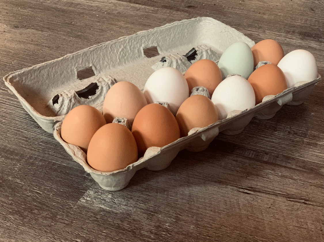 EGGS