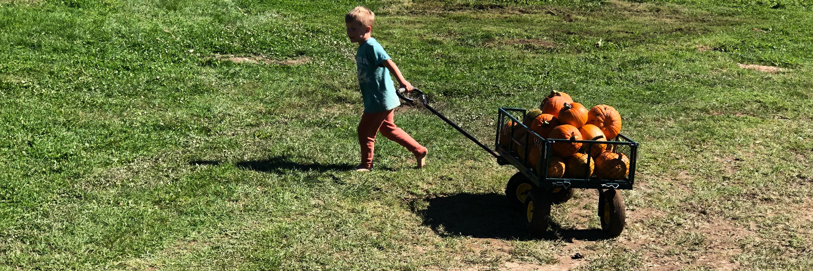 cart-puller.jpg