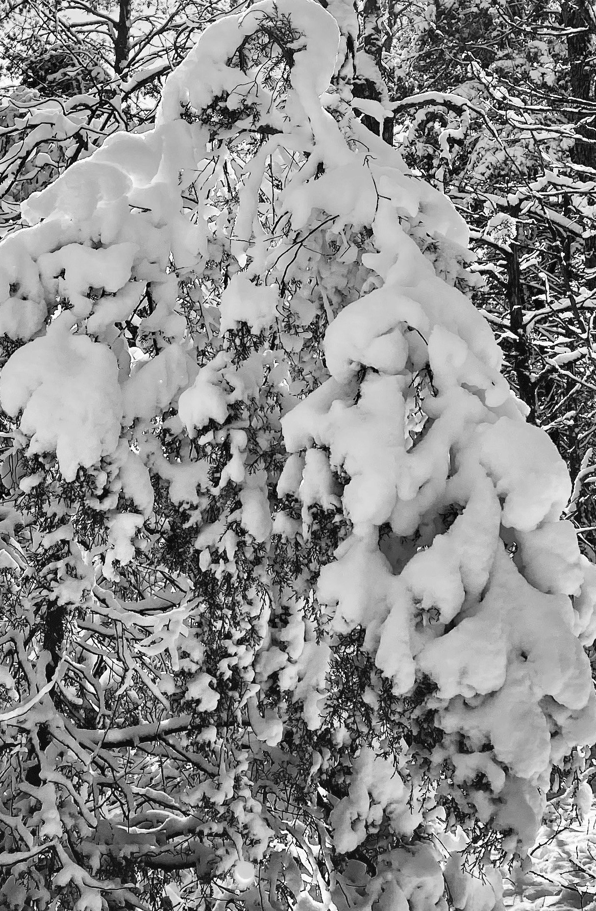 These winter blues Part 1