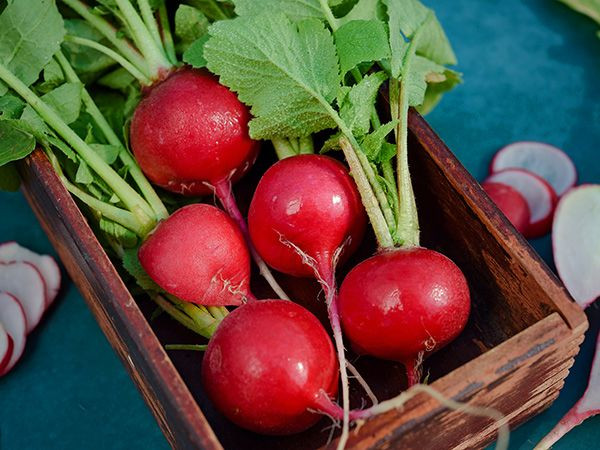 Radishes