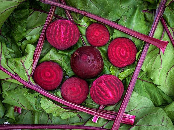 Beets