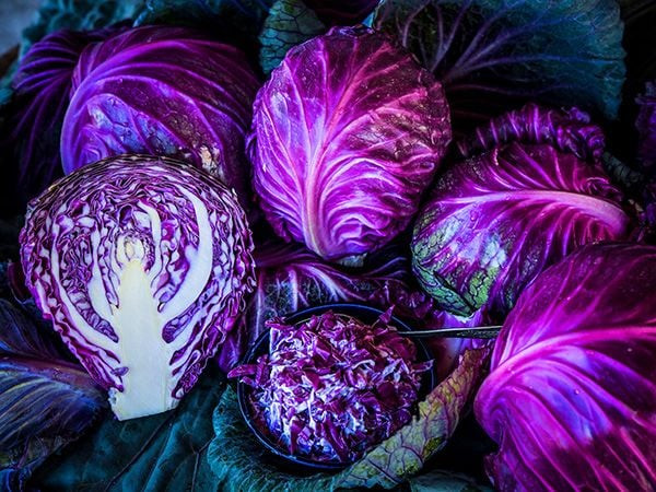 Red Cabbage