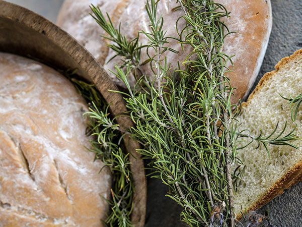 Rosemary