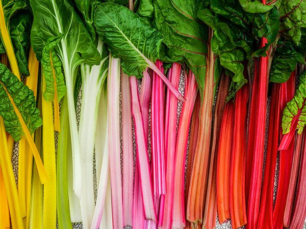 Swiss chard