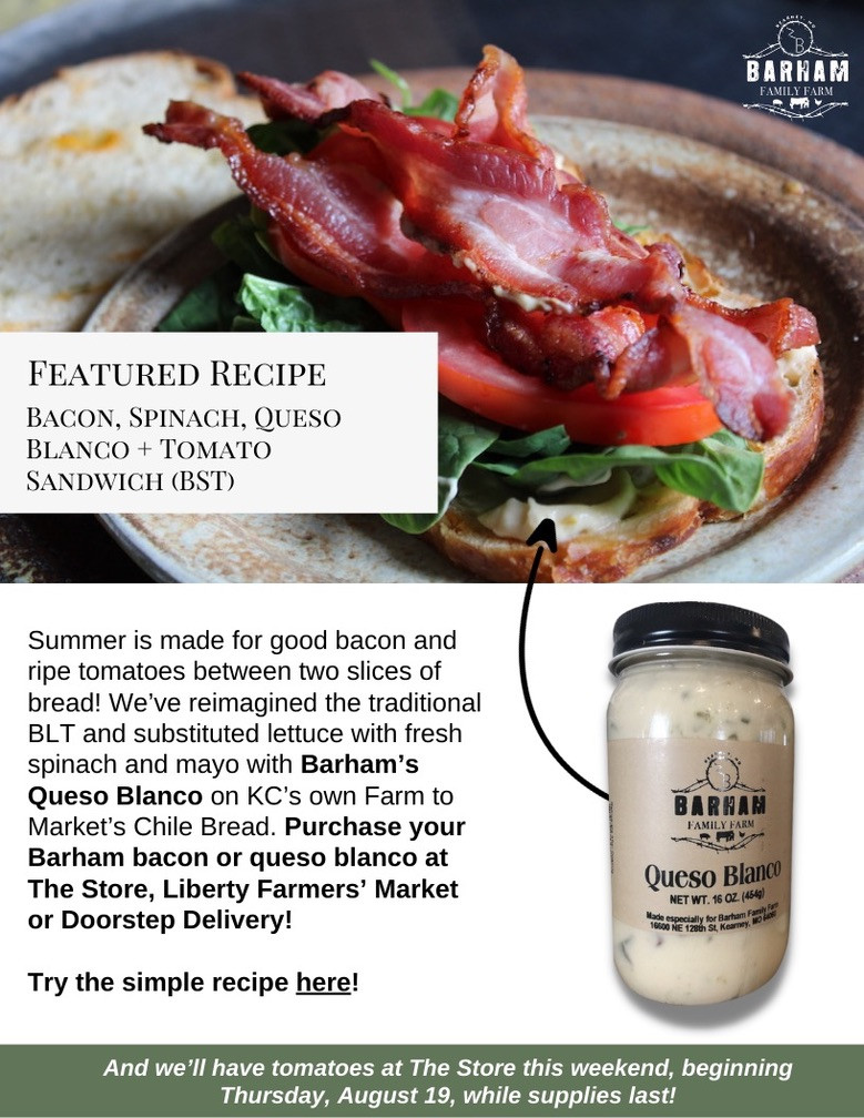 Barham Basics: Bacon + Queso Blanco Sandwich