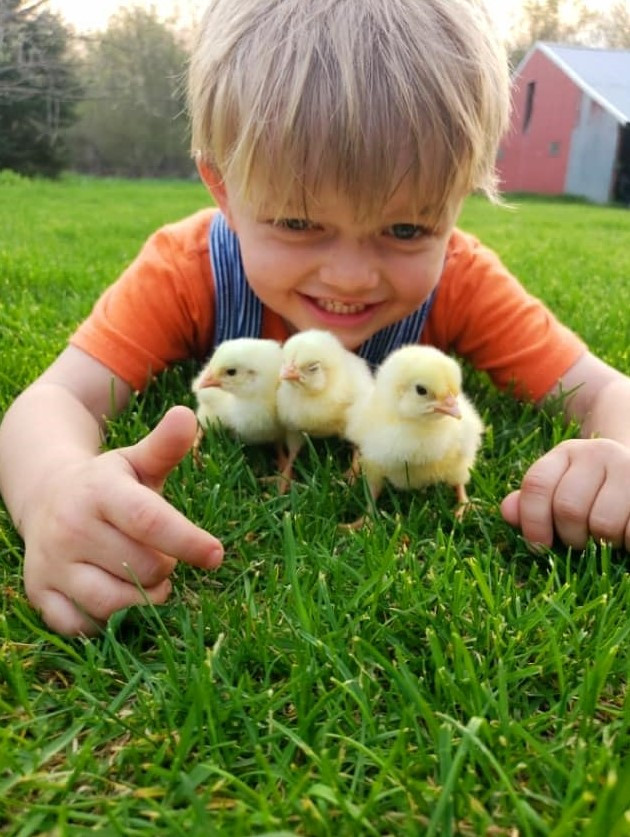 boy-with-chicks.jpg