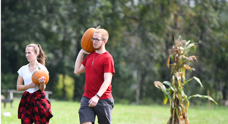 Pick your own pumpkin