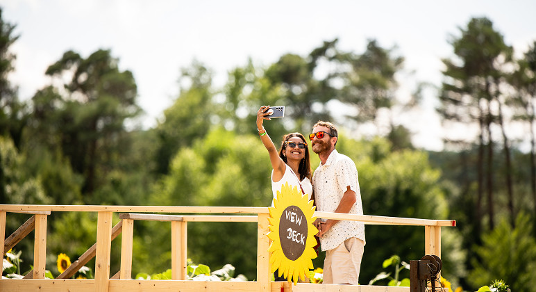 Couple selfie by sunflowers