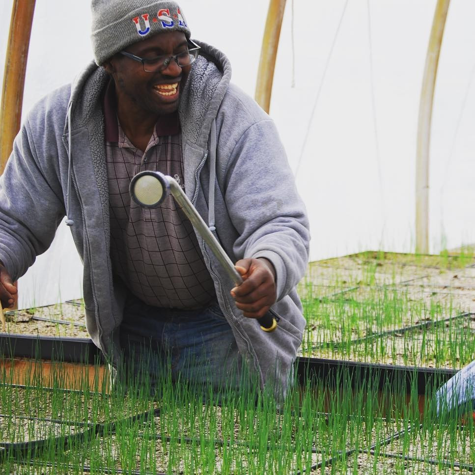 Vegetable Crew Member
