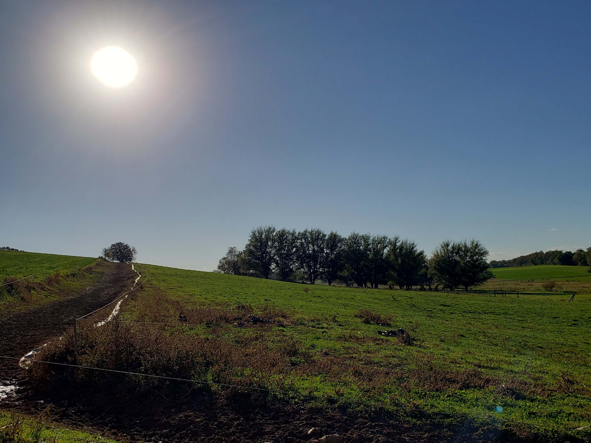 Spring Greetings From Buffalo Valley Pastures