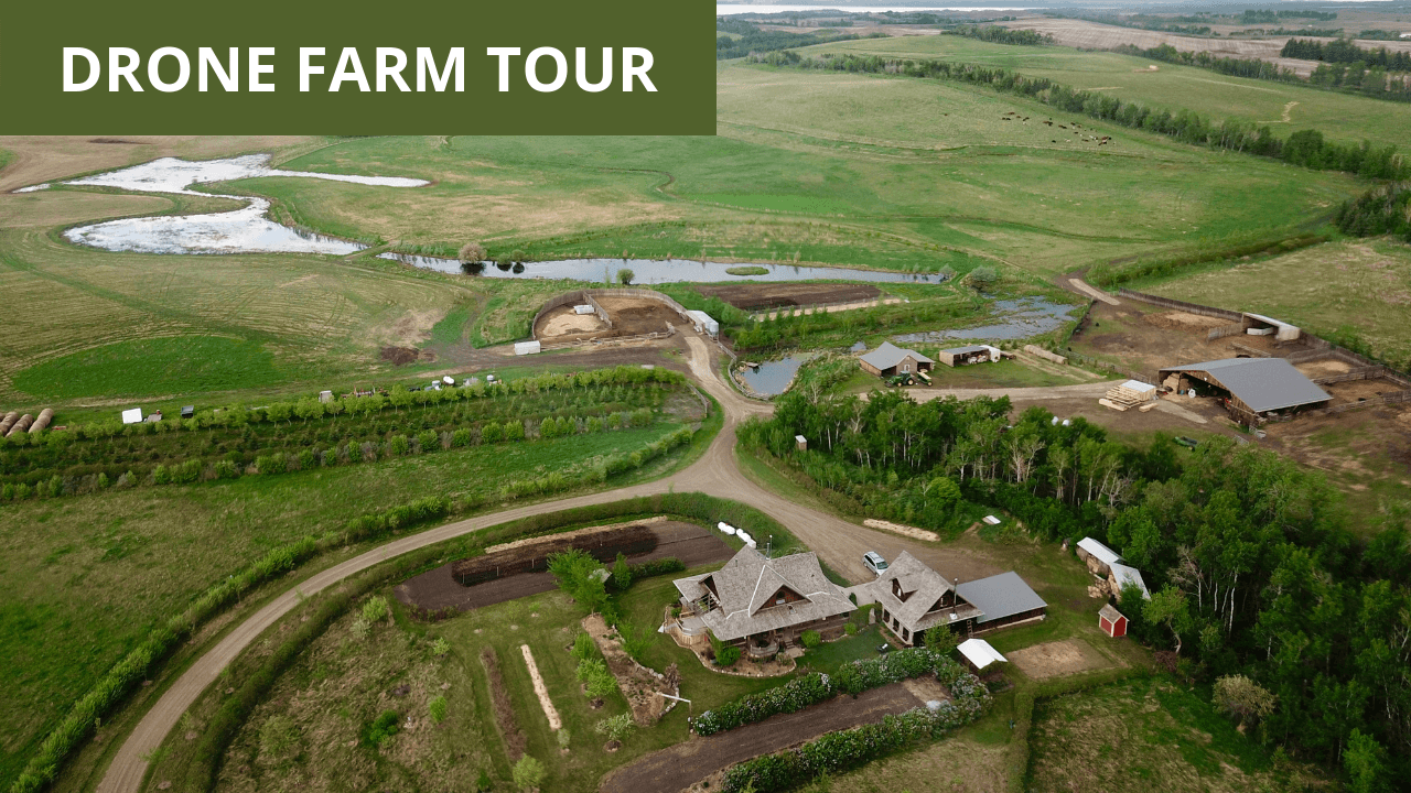 VIDEO: Drone Tour Of Coen Farm