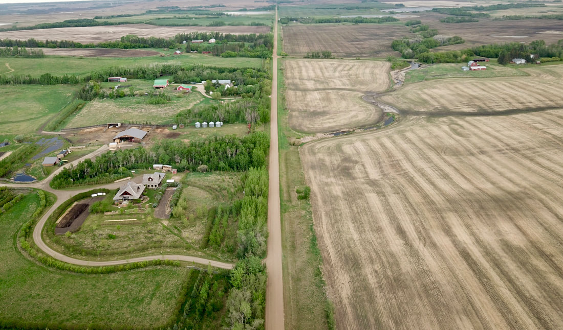 Is Industrial Agriculture Efficient, Effective & Ethical? (Podcast)