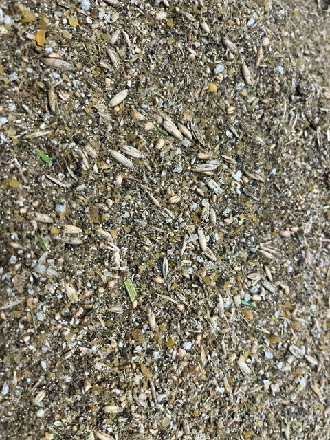 Corn Soy Free Chicken Layer Feed 18%
