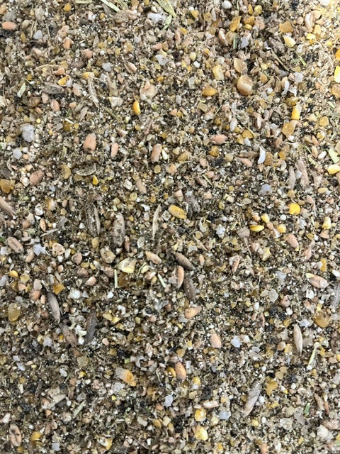 Soy Free Chicken Layer Feed 17%