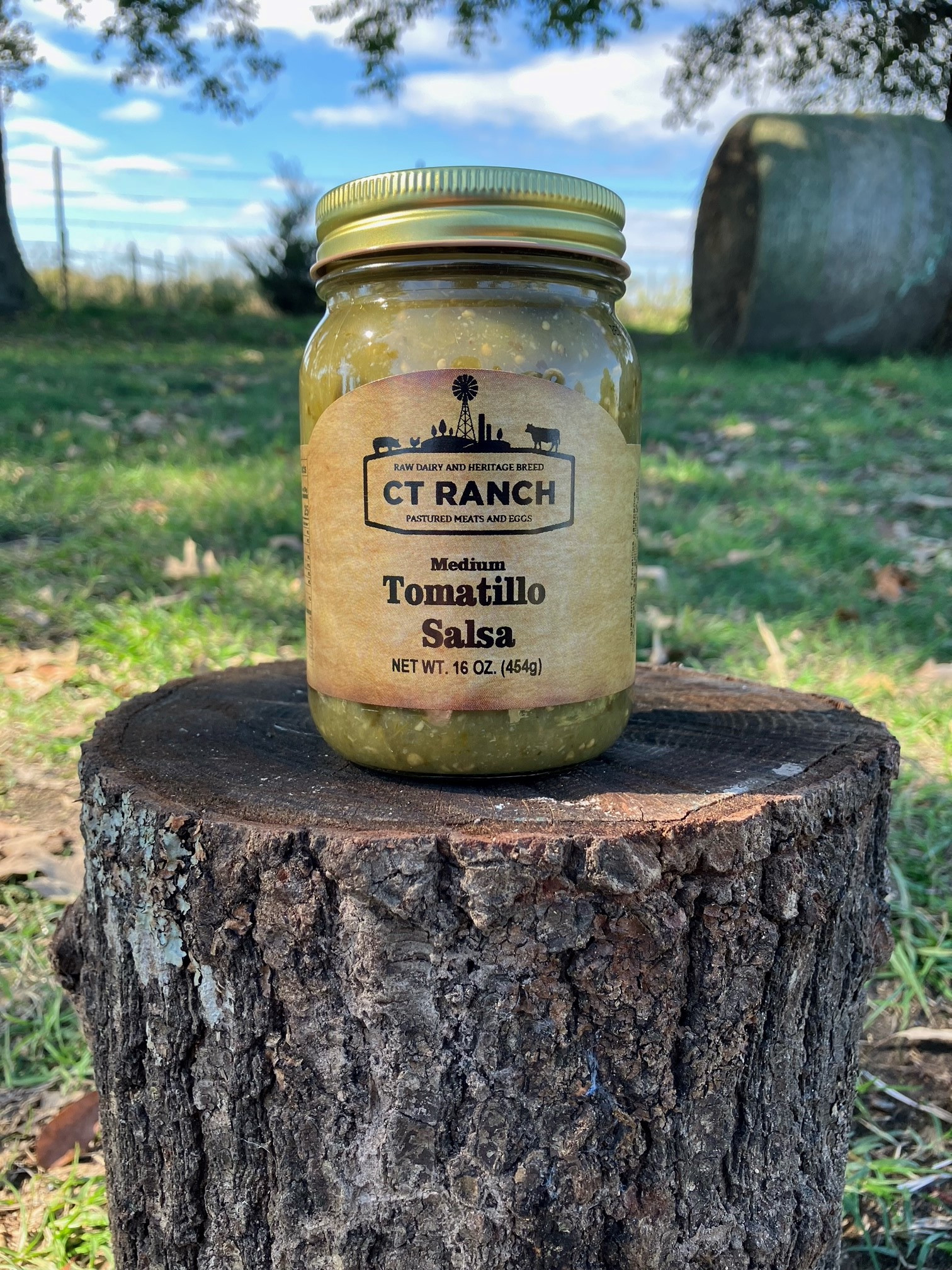 Tomatillo Salsa CT Ranch