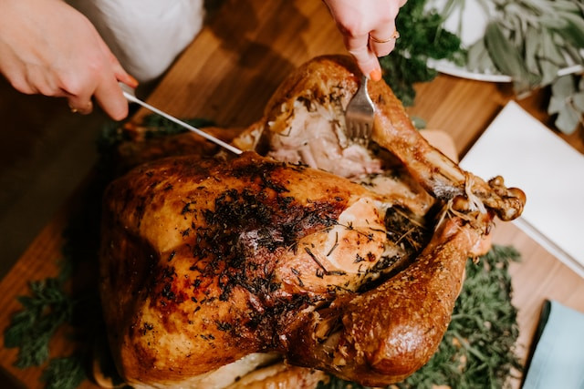 Dos & Don'ts: Thanksgiving Turkey Edition