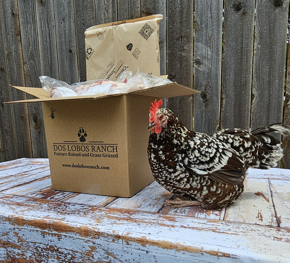 Madam McFlurry, our egg laying flock ambassador at Dos Lobos Ranch.