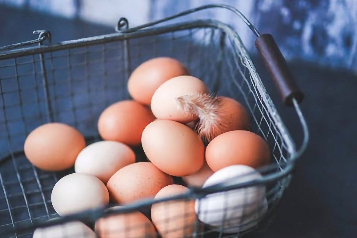 Pastured Eggs