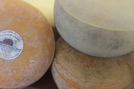 Cheese