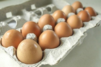 Poultry & Eggs