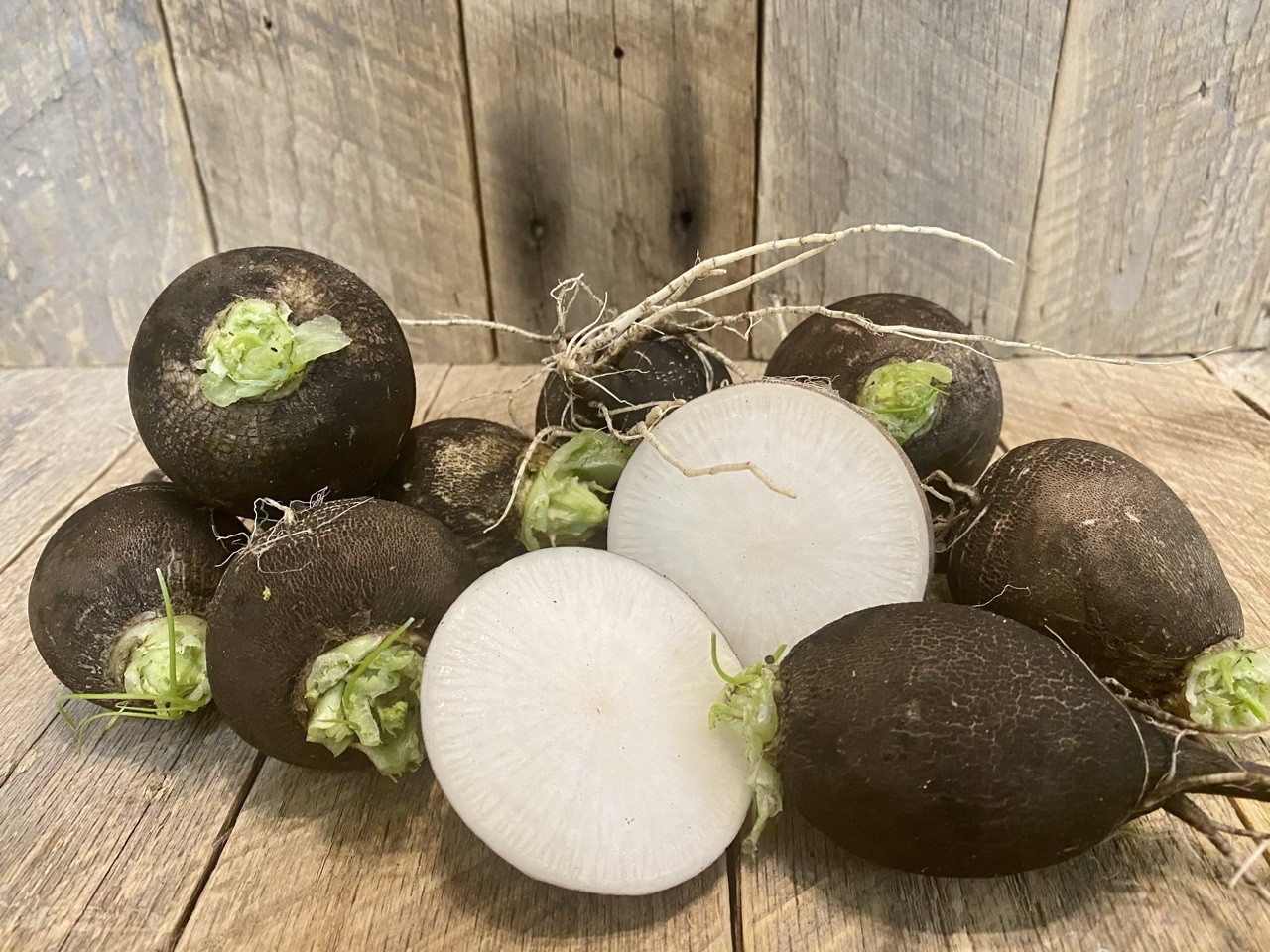 Winter Radishes (Black Spanish) Dutch Meadows Farm