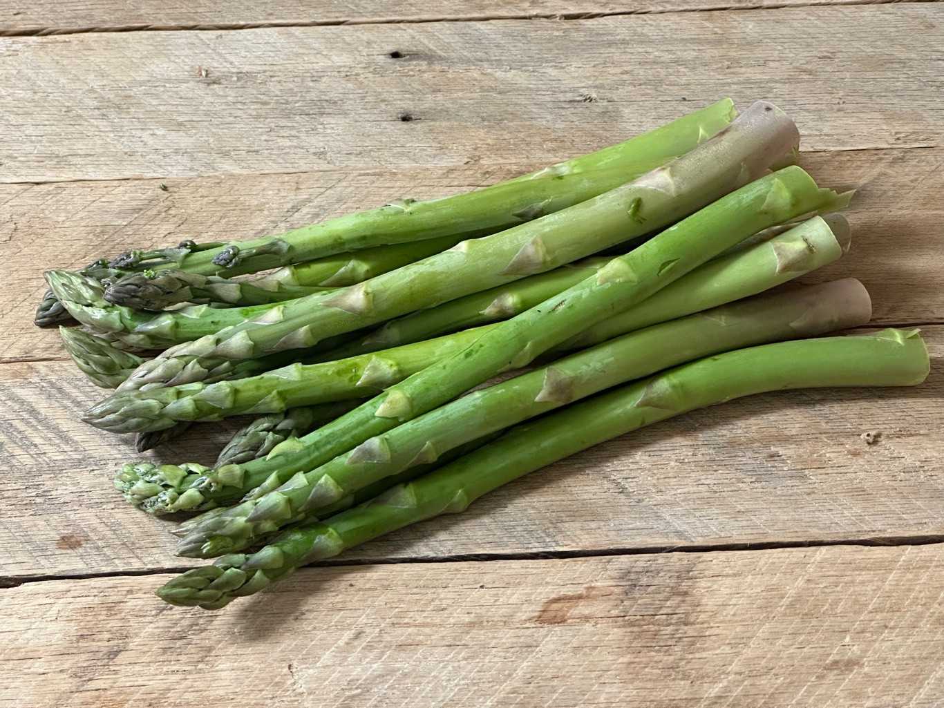 Asparagus (Green)