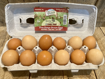 Large Brown Eggs