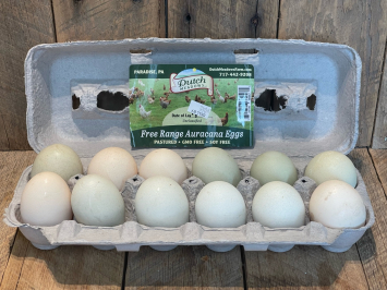 Dozen Aurocana Eggs
