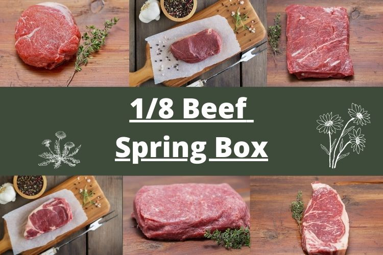 Beef - Fed From The Farm