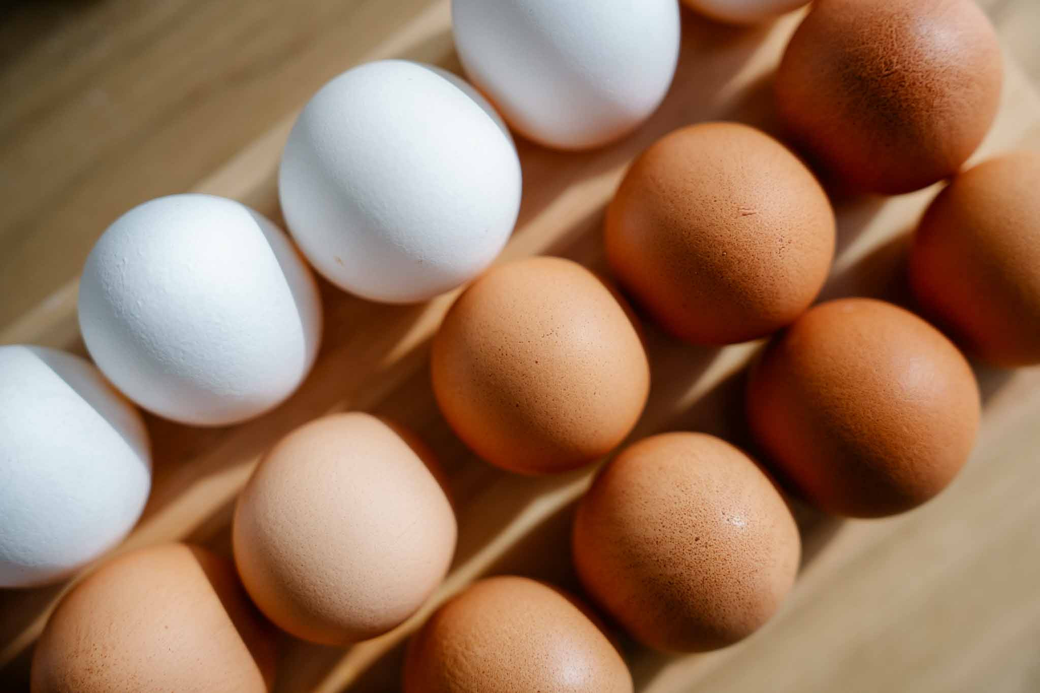 EGGS
