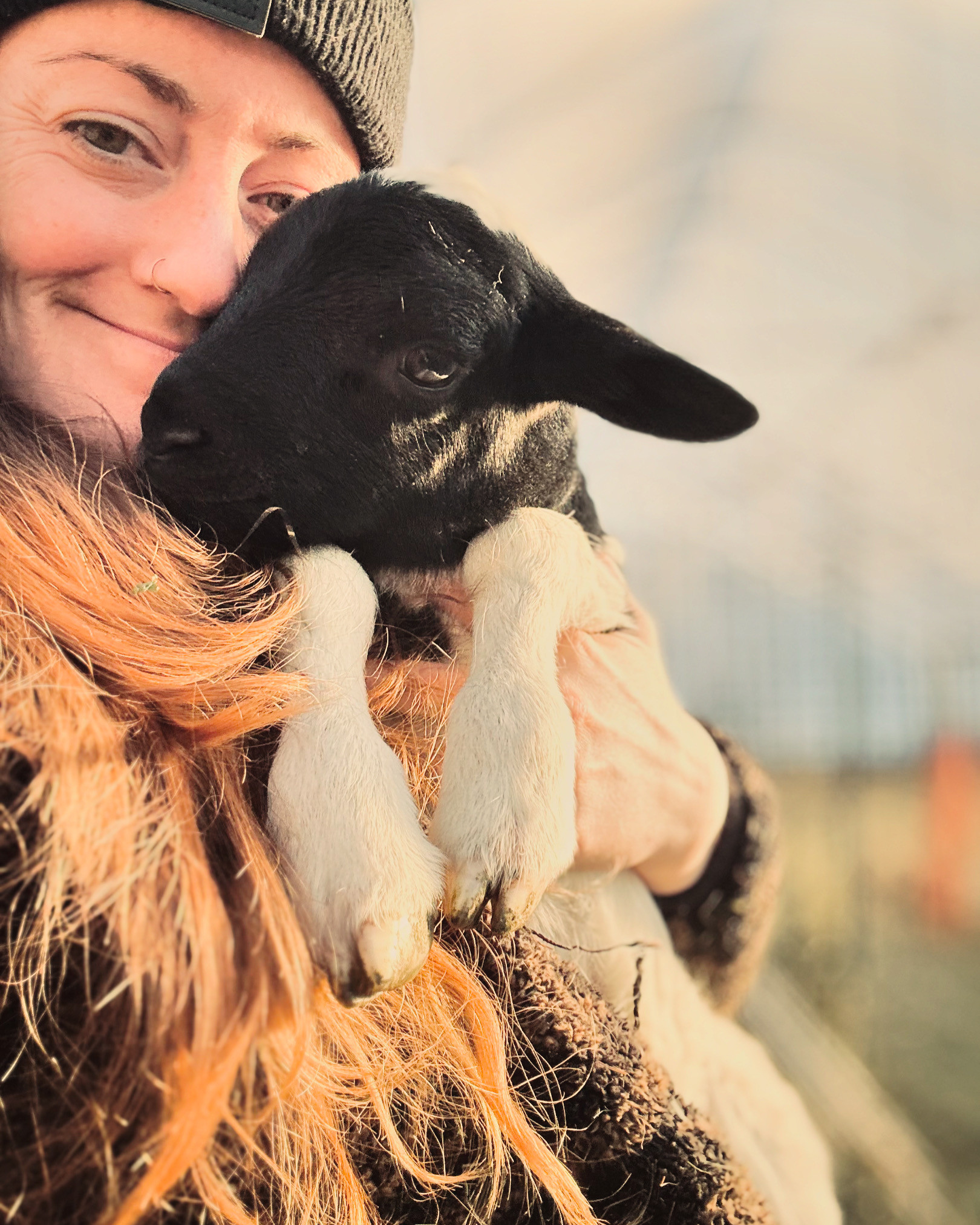 This week on the farm...